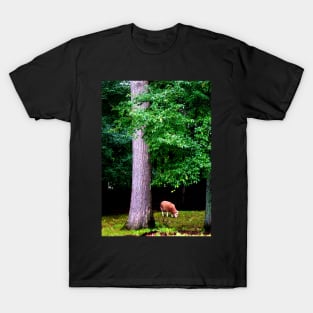 Lone Sheep T-Shirt